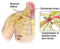 Physiotherapist - Pronation / Supination - Eddie O'Grady