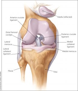 knee injuries