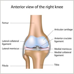 knee injuries